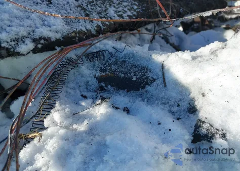 1998 Chevrolet K1500 Fleetside z USA, uszkodzony, nr VIN 1GCEK19S7WE100795